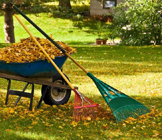 Fall Clean Up Landscaping Red Deer, How To Clean Up Landscaping In Fall