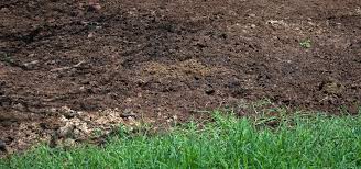 Lawn Fertilizing Services Red Deer